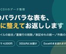 Excel・CSVの整理と集計をまとめて代行します 重複・表記ゆれ・集計まで、2日以内に表1枚でお返しします イメージ1
