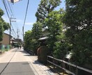 チャット形式にてお悩み、愚痴、何でもお伺いします 精神科キャリア10年以上の相談員がチャット形式で対応します。 イメージ1