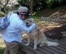 現役キャリア講師が学習、就職、受験悩みごと聞きます 自分に合った勉強法、貴方の優位をお伝えします。 イメージ1
