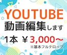 フルテロップでYouTube編集承ります カット/テロップ/BGM•SE イメージ1