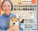 テキスト相談|愛犬のごはん食べない問題を解決します 元ペットショップ店員×ペットフーディストが個別アドバイス！ イメージ1