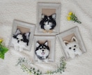 大切な家族のわんちゃんを羊毛フェルトでお作りします うちのこペット　犬　ペット　羊毛フェルト　犬　ハンドメイド イメージ2