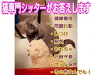 猫にまつわる疑問やお悩み、何でも相談に乗ります 【多頭歴40余年、経験豊富な猫シッターが親身に寄り添います】 イメージ1