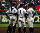 写真を絵のようにします あなた専用オリジナルのイラストを描きます！ イメージ8