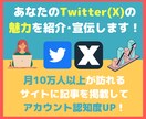 月間12万PVのサイトでTwitterを紹介します あなたのTwitter(X)アカウントの認知度の向上に！ イメージ1