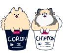 愛するペットのイラスト描きます ふわふわ感バツグン！アイコンやペット名刺・個人利用のグッズに イメージ8