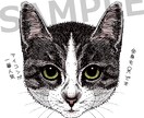 商用OK！リアルでかわいいペットの似顔絵を描きます ご自身用、プレゼントに最適！リアルなイラストが好きな方へ イメージ1