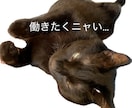 行きたくニャいお仕事の悩みを一緒に整理します みにゃさまいつもお疲れ様 ふらっと休める猫カフェへようこそ イメージ1