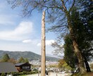 霊視（チャネリング）によるアドバイスを致します どんな内容でも真摯にお答え致します イメージ1