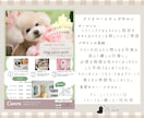 現役オーナーが想いを形にする優しいチラシを作ります あなたの"好き"や想いを、魔法のように形にします イメージ2