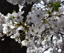 最愛の彼、彼女の本音をお教えします ★大事なひとの気持ちを理解してさらなるよきパートナーになる★ イメージ2