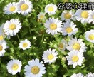人とのやり取りが自然にラクになる方法を紹介します もう気をつかわない！人間関係のストレスが消えるシンプルなコツ イメージ1