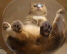 どんなお話でも親身になってお聞きします 心が少しでも軽くなる様に楽しく話しましょう！ イメージ1