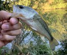 和歌山県御坊市でバス釣りポイント教えます ネットには載っていない和歌山でバス釣りができる野池教えます イメージ3