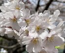 一児のママが友達感覚でなんでも聞きます ちょっと話相手に、ちょっと愚痴りたいとき気軽に話してください イメージ1