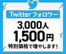Twitterのフォロワー3000人増やします 実績を作るため原価で提供中！1/30までの限定価格 イメージ1