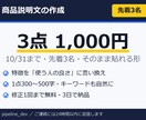 楽天・Amazonの商品説明文を3点書きます 10/31まで・先着3名1,000円・3点セット イメージ1