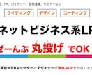 全部丸投げOK！ネットビジネス系のLPを制作します マーケターが成約率の高いLPを作成します。実例CPA500円 イメージ1