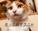 1日じっくりお話し聴きます 一人で抱えないで、その荷物を半分分けて下さい。 イメージ1