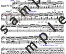 クラシック音楽の和音解説付き楽譜作成します 音楽理論を演奏に活かしたい方へ！ イメージ1