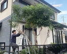 外構・庭・リフォーム　プロが丁寧に対応します ちょっと困ったをすぐに解決するお手伝いをしています。 イメージ3
