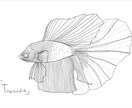 細かな線画イラストを作成します 細かな躍動感のある線画を描きます。 イメージ1