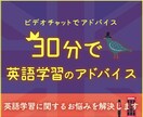 30分で英語学習のコーチング・進捗管理します 定期利用も可！あなたのモチベーション管理し学習を継続サポート イメージ1