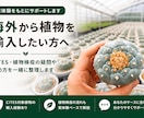 植物の個人輸入を実体験からサポートしますます CITES・植物検疫の疑問や進め方を一緒に整理します イメージ1