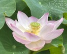 心のモヤモヤ（恋愛／親／子育て／義親等）を聞きます モヤモヤ溜め込んでませんか？爆発する前に吐き出しましょう！ イメージ4