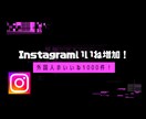 Instagramのいいね増加します Instagramの外国人いいね1000件〜増加します！ イメージ1