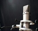 あなただけの歌い方でボイトレいたします ボーカルディレクターがあなたの声の魅力を引き出すボイトレ！ イメージ2