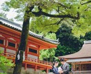 平日限定！七五三・お宮参りのお写真撮影をいたします お子様とご家族の大切な時間をたくさんのこします イメージ2