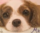 ペットや人の似顔絵を書きます 素敵、カッコいい、おしゃれな雰囲気をモットーにしています イメージ2