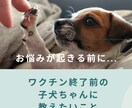 ワクチン前の子犬に教えたいことアドバイス致します はじめてワンちゃんを飼われた方にオススメ イメージ1