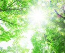 いつまで続くの？コロナの不安な気持ち伺います ちょっとでも、何でも、５分でも。お話しましょう。 イメージ9
