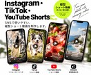 写真1枚からSNSで目を止める縦型動画を作ります 写真からAI動画を生成します！ イメージ4