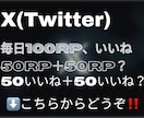 X(Twitter)を30日間プロモーションします X/Twitter/30日間/毎日100RP100いいね イメージ1
