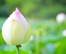 写真売ります 自分の撮った写真を提供します！！ イメージ1