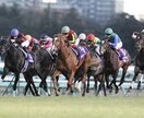 １週間に２～３レースの特選勝負馬券をあなたに！ます 競馬で損ばかりしているあなたに！１週間に２～３レースの勝負！ イメージ1