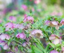写真の加工レタッチをしてます 写真の現像（加工、レタッチ）の技術を提供しています。 イメージ6