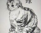 様々な絵柄で動物を描きます 購入者様の好きな動物、飼っている大切なペットなどを描きます イメージ3