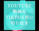 元動画をTikTok用動画に!!ます 元の動画の広告風にTikTok用動画を作成!! イメージ1