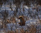 写真を額縁に入れてお贈りします 美しい写真を額縁に入れてお贈ります イメージ2