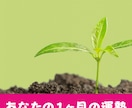 あなたの１ヶ月の運勢を占います 生年月日とタロットから一か月の流れを占います イメージ1