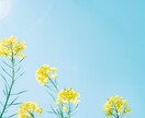 死別当事者☘誰にも言えない気持ちを安心して話せます 大切な人を亡くされた悲しみや苦しみを一人で抱えていませんか？ イメージ10