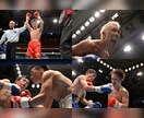 プロカメラマンがイベント撮影に伺います プロ歴15年！大手実績多数！その日の思い出を鮮やかに残します イメージ7