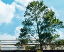 新型コロナウイルスの正しい感染予防・対策を教えます ワンコイン♪最短1分でお伝え!実は〇〇するだけ!!すぐ実践☆ イメージ5