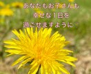 お子さんと楽しく過ごせる関わりを一緒に考えます 子どものイヤ！を優しく穏やかに見守れる大人になりたい方へ イメージ2