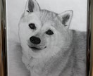 鉛筆でお犬さんを描きます お犬さんの思い出の写真を鉛筆画にいたします。 イメージ3