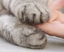 貴方のトーテムアニマル（守護動物）をお伝えします トーテムアニマルを知ることで貴方の人生や生活を豊かに。 イメージ1